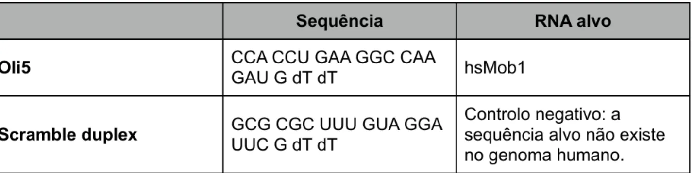 Tabela 2.4 - Oligonucleotídeos de siRNA