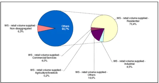 Figure 1.6: Distribution of reported retail WS volumes by customer type (2005)