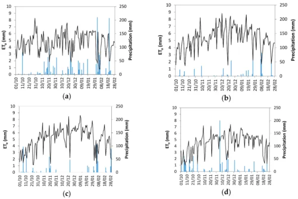 Figure A1. Daily precipitation (