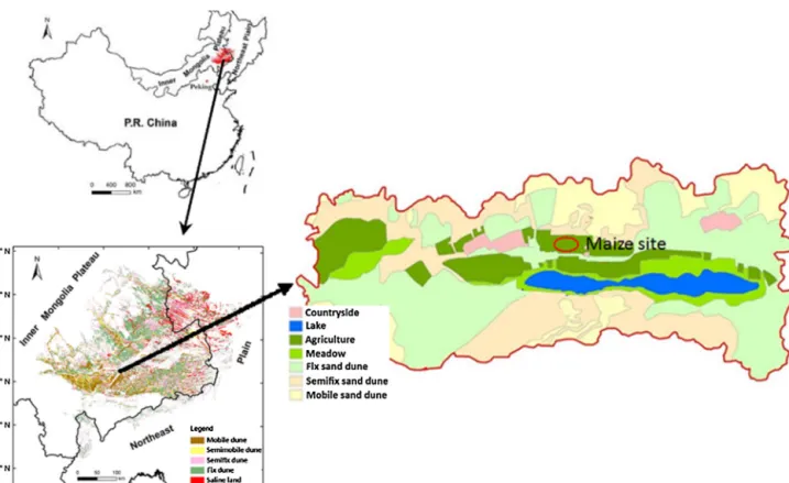 Fig. 1. Location of the study area, land use map and location of the study site.