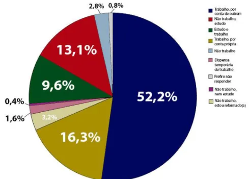 Gráfico 6 – Ocupação profissional dos inquiridos