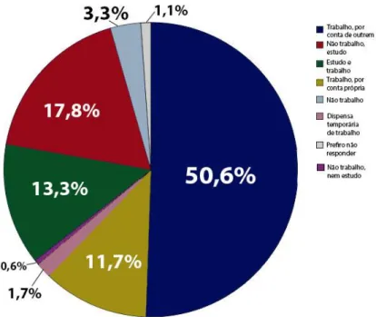 Gráfico 12 – Ocupação profissional da geração millennial