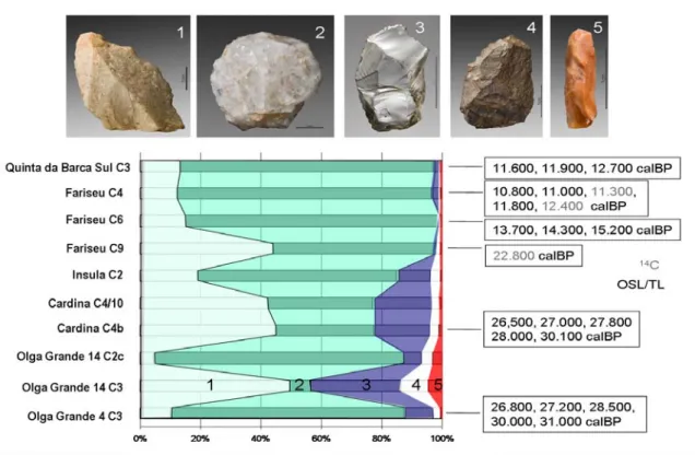 Figure 1- Proportion of lithic raw material categories used in Upper Paleolithic sites of the Côa valley  (photography J.P