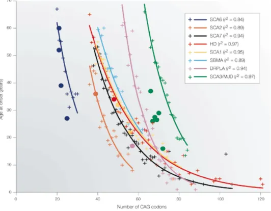 Figure   6.   The   age   of   onset   of   PolyQ   neurodegenerative   diseases   correlates   with   the   length    of    the    CAG    tract