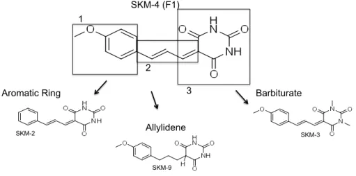 Figure    1.    F1/SKM-­4    has    three    sub-­regions    that    were    altered    to    generate    analogues    for    structure/function   studies