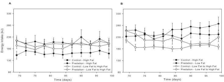 Figure  6  ‐  Variation of  energetic  intake,  during  30  days,  of  females  (A)  and  males (B) introduced to high fat diet at weaning and 70 days post‐weaning. 