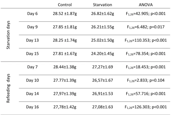 Table I – Mean ± S.E. of body mass (g) and ANOVA results, on starvation (day  6, 9, 13 and 15) and refeeding (day 7,10, 14 and 16) days of the study. 