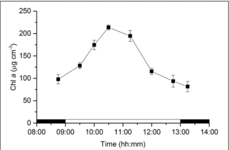 FIGURE 1 | Changes in microphytobenthos biomass (chlorophyll a) in an intertidal sediment photic zone (0–0.5 mm) over a diel emersion period (mean ± standard deviation; n = 3)