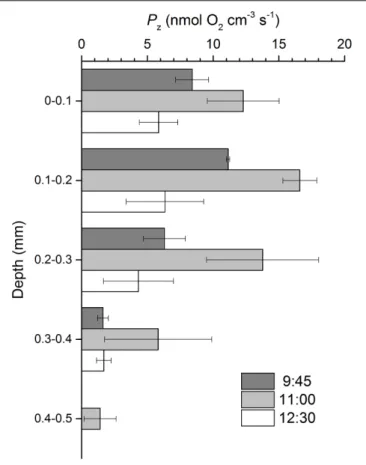 FIGURE 3 | Gross photosynthesis (P z ) profiles in an intertidal sediment over a diel emersion period (mean ± standard deviation; n = 3)