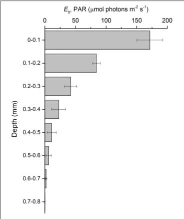 FIGURE 5 | Changes in rapid light curve parameters α (light utilization coefficient, A) and ETR max (relative maximum electron transport rate, B) of an intertidal sediment over a diel emersion period