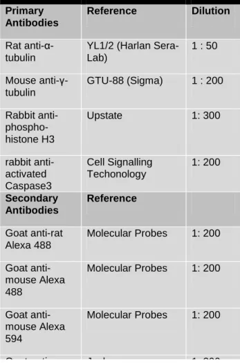 TABLE 2 - Primary and secondary antibodies used during the course of this work. 
