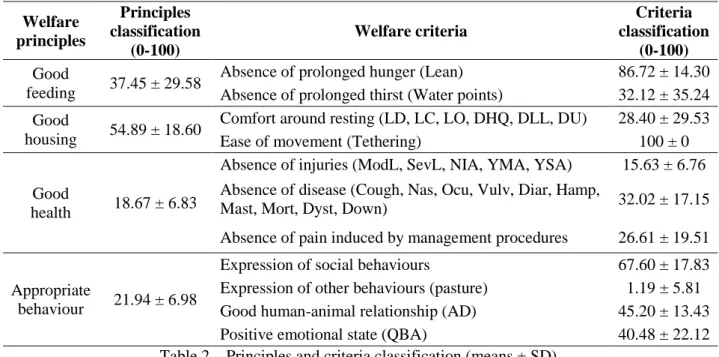 Table 2 – Principles and criteria classification (means ± SD).