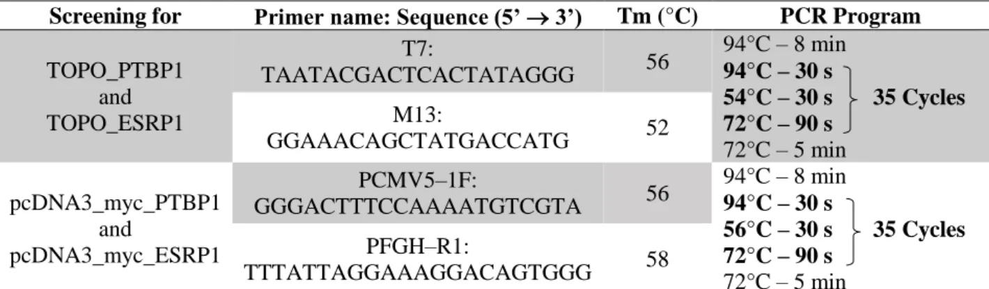 Table 3.3 -  Primers and PCR programs used for the screening of the integration of PTBP1 and ESRP1 into the pCR™2.1-