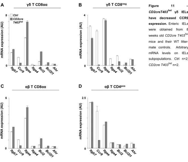 Figure 11 – CD2creT403 het  γδ IELs  have decreased CCR9  expression. Enteric    IELs  were obtained from 8  weeks old CD2cre T403 het  mice and their WT  litter-mate controls