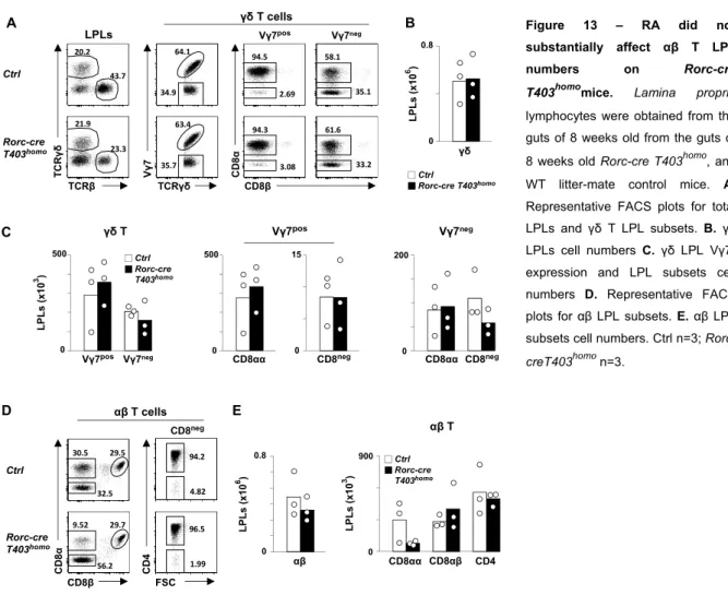 Figure 13 – RA did not  substantially affect αβ T LPL  numbers on Rorc-cre  T403 homo mice