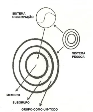 Figura 4: Sistema de auto-observação (Agazarian e Gantt, 2000). 