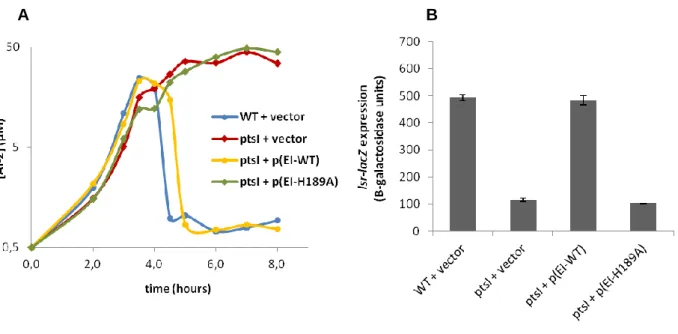 Figure 6 – EI from PTS and its phosphotransferase activity are required for AI-2 internalization  and  lsr operon transcription