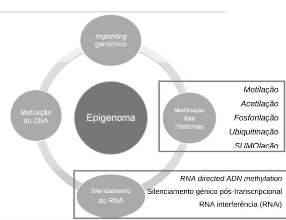 Figura I.2: Principais mecanismos epigenéticos, modificado de Vidaki et al., 2013.