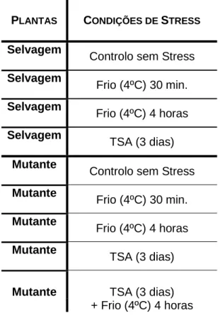 Tabela III.1: Disposição das plantas por grupos de acordo com o tipo de tratamento de stress