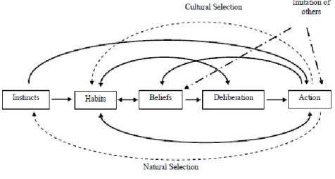Figure 1. A Darwinian Conception of Human Cognition and Action (Source: Hodgson, 2010)