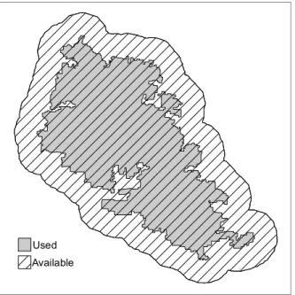 Figure 4. Example of one of the 500 maps showing the distribution of randomly placed fire perimeters (grey)  over-lapping observed fire perimeters (red)