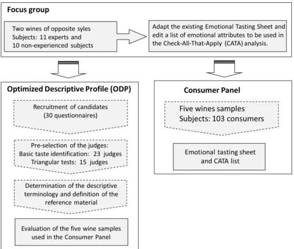 Fig. 1. Sensorial methodologies: Focus Group (FG), Optimized Descriptive Proﬁle (ODP) and Consumer Panel.