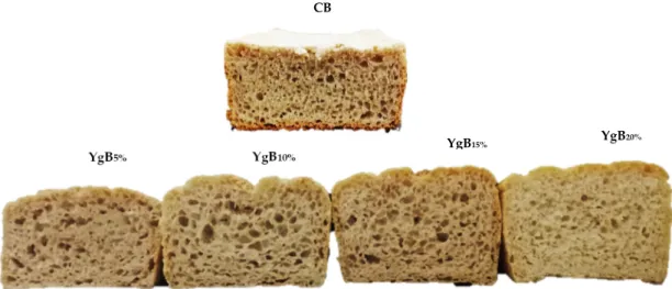 Figure 4. Control bread (CB) and breads obtained with different levels of Yg addition (YgB): 5, 10, 15,  and 20% (w/w- weight/weight)