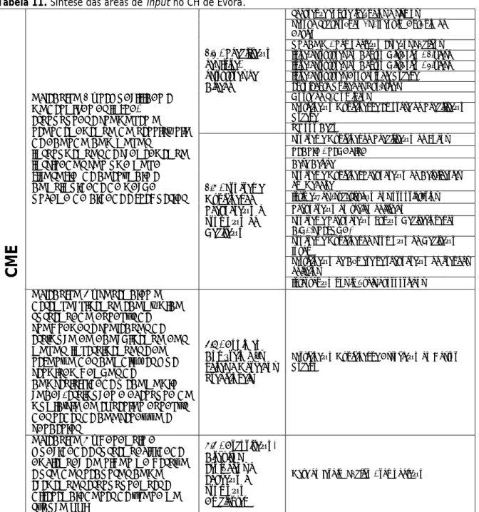 Tabela 11. Síntese das áreas de input no CH de Évora. 