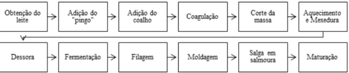 Figura 1 – Fluxograma proposto para produção de queijo artesanal Cabacinha Fonte: Adaptado de Minas Gerais (2012).