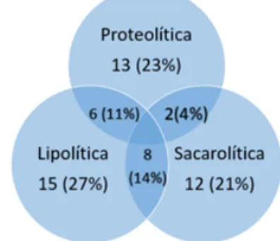 Figura  1  –  Associações de atividades  proteolítica, lipolíticas e sacarolítica entre os  isolados, isoladas de leite cru, a 35 °C