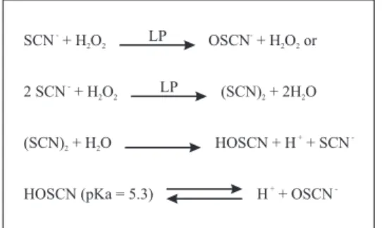 Figura 1 – Representação da oxidação do  tiocianato (SCN  - ) no sistema lactoperoxidase  (SEIFU et al., 2005)