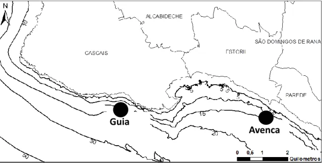Figure  1-  Location  of  the  sampling  areas:  Avencas  (38°41,06’N,  9°26,71’W)  and  Guia  (38°41,61’N,  9°26,71W)