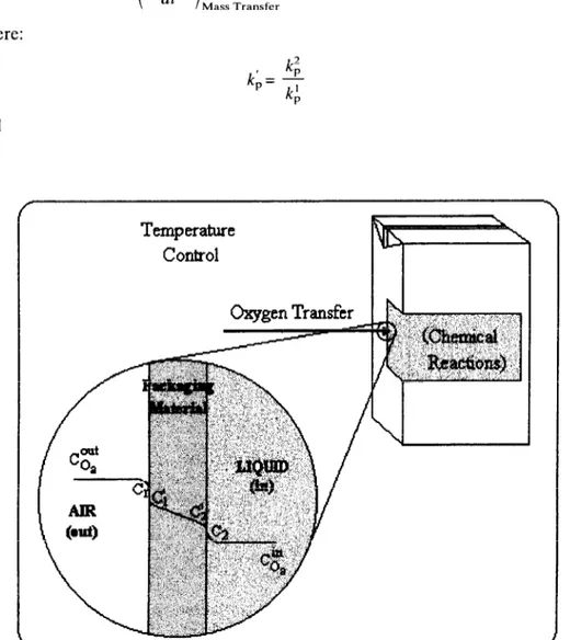 Fig.  1.  Schematic  representation  of  the  mass  transport  of  oxygen  from  the  atmosphere  into  a  packaged  food  product