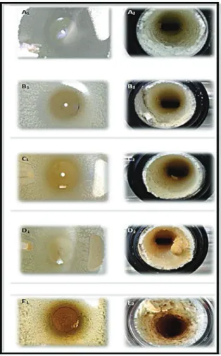 Figura 2 – Comparação por imagens da influência do nível de hidrólise da lactose na secagem  do leite em pó integral em spray dryer, em que (A) representa o produto controle sem hidrólise  (0H); (B) 25% (25H), (C) 50% (50H), (D) 75% (75H) e (E) &gt; 99% (9