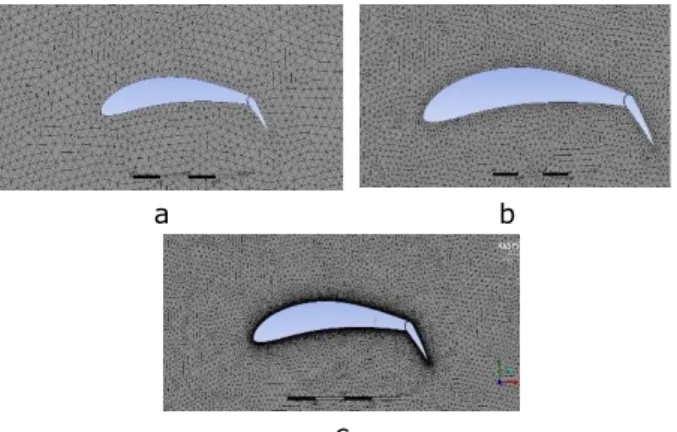 Figure 1: Computational mesh generated.  