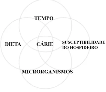 Figura 1 - Esquema clássico de Newbrun