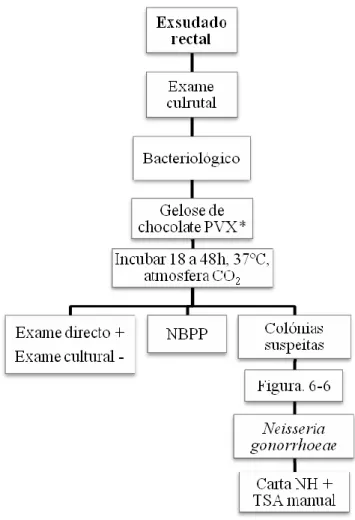 Figura 6-16 – (continuação) Fluxograma ilustrando a marcha geral do exame cultural micológico para o produto  exsudado rectal