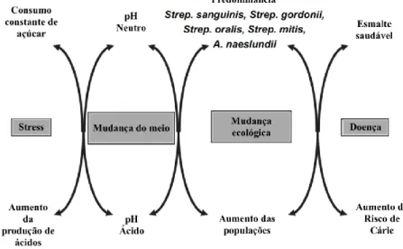 Figura 8 - Mecanismo dinâmico da placa bacteriana. (Adaptado de Marsh, 2010) 