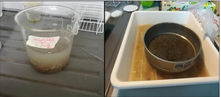 Figure 12: The treatment of the samples with water and oxygen peroxide (H2O2), and wet sieving 