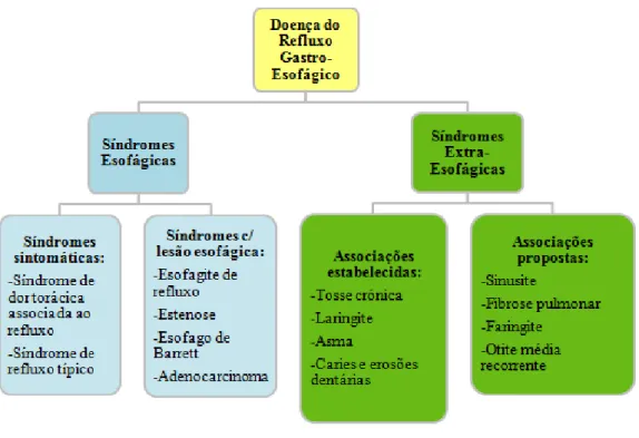 Figura 2 - Esquema da classificação da DRGE. Adaptado de Vakil et al (2006). 