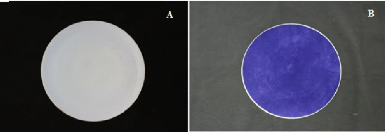 Figura 10 - Panos de polimento ReflexPad: A - Pano de Polimento de 3μ; B - Pano de Polimento de 1μ
