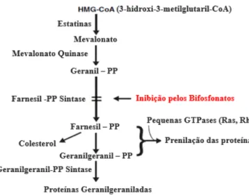Figura 4 – Mecanismo de ação dos bifosfonatos nitrogenados (adaptada de Ghoneima et al