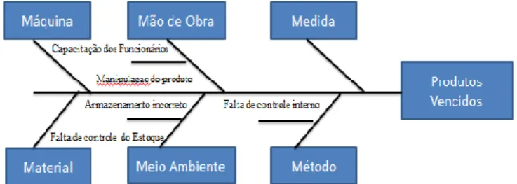 Figura 2: Diagrama de causa e efeito construído a  partir do brainstorming 