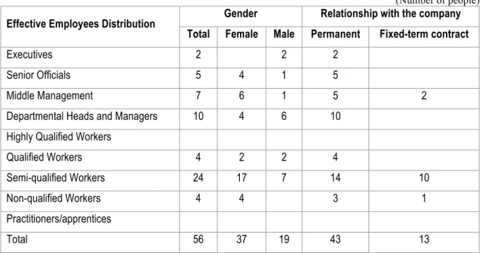 Table 3 – Human Resources general characterization 