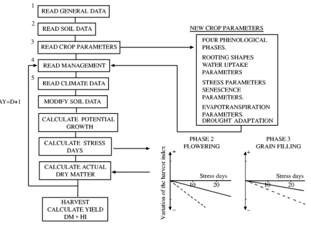 Fig. 1. Program yowchart for the erosion productivity impact calculator phase (EPIC-PHASE) model: DM, dry matter; HI, harvest index; , ewect on the harvest index of a moderate water stress; } } } }, ewect of a high water stress