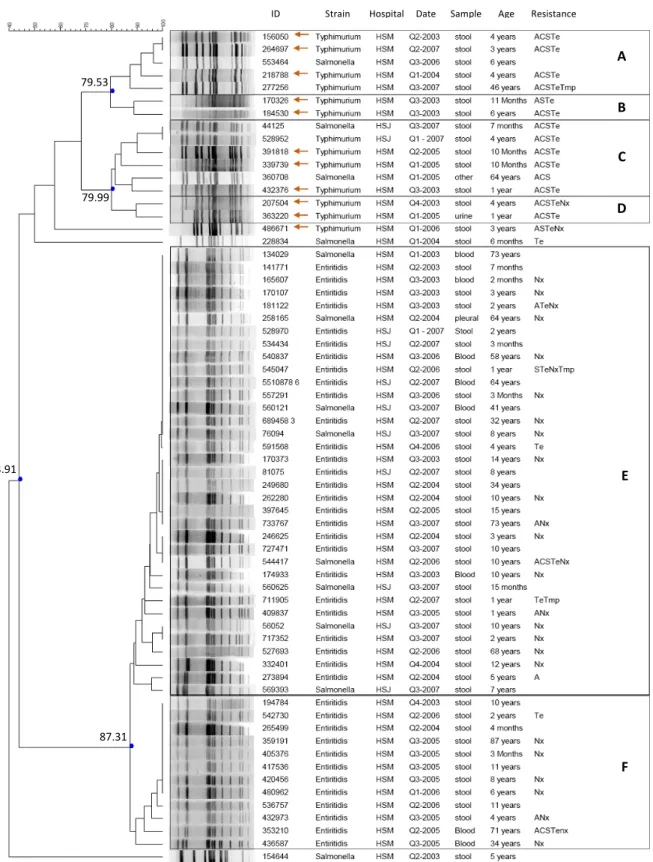Figure  7  -  Dendrogram  of  similarity  illustrating  the  genetic  relationships  between  the  XbaI  profiles  using  the  Dice  coefficient, and clustering by UPGMA
