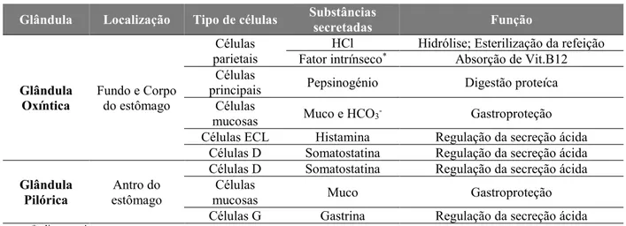Tabela 1. Constituição e funções das glândulas da mucosa gástrica (adaptado de Wilson &amp; Stevenson, 2013)