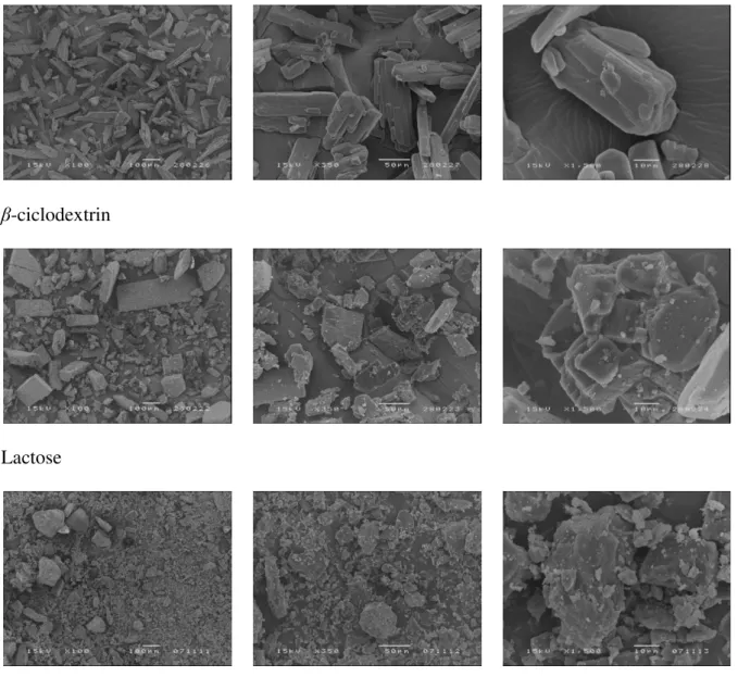 Fig. 1. Scanning electron micrographs of raw-material (IB, βCD, LAC). 