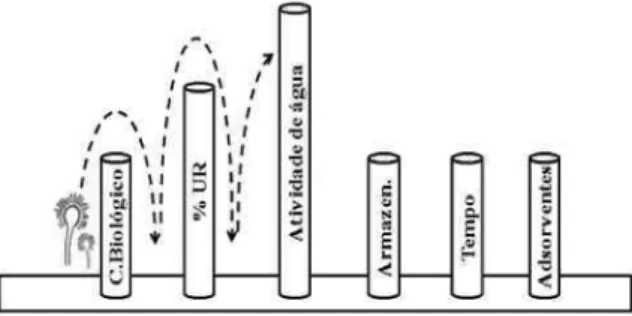 Figura 3 –  Efeito trampolim ocorrido devido à elevada % UR do ambiente.