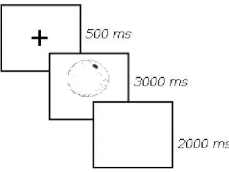 Figura 9: Exemplo de um ensaio do bloco de nomeação standard, correspondente a uma imagem a  preto e branco